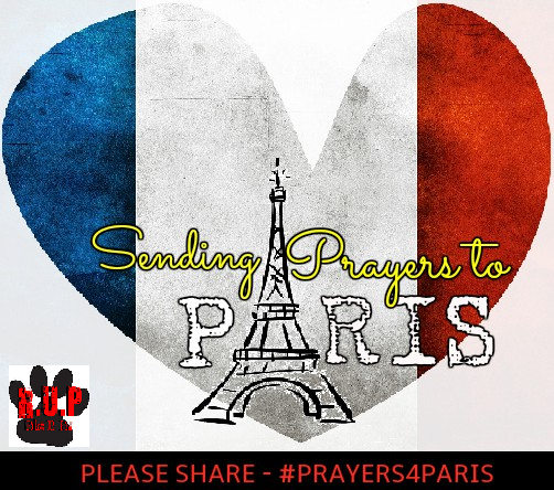 RaiseUrPaw's tweet photo. Please Raise Ur Paw &amp; Send #Prayers4Paris - :( Our thoughts &amp; Prayers are with all. https://t.co/uUGCPPJ6AD