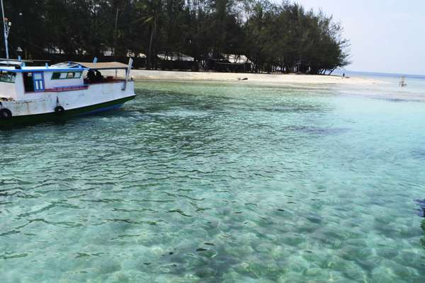 detikcom's tweet photo. Karimunjawa Dikembangkan Eksklusif, Turis Berbikini Dilarang Mondar-mandir https://t.co/5zEgHX68iu https://t.co/oIBRC9JiP5