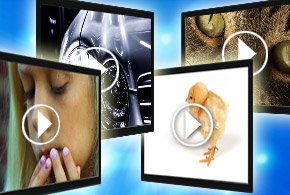my_web_host's tweet photo. Artificial Intelligence Gives Photos New Life Online https://t.co/3ee2fBOxVx #cloudnews https://t.co/wRHLSdy2gS