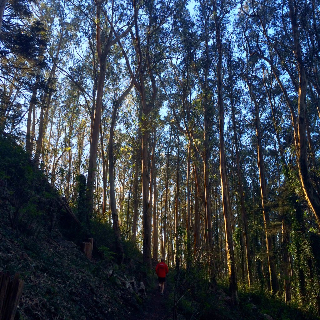 kooeesnacks's tweet photo. Time for a #trailcation.
#wheredoyoukooee #happyweekend #dontforgetthesnacks #jerky #trail https://t.co/VZncgrRF4S
