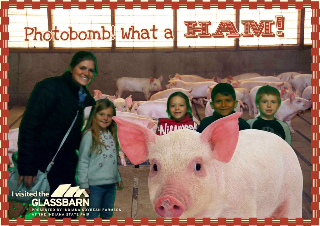 DELCBlue's tweet photo. First grade field trip to the Glassbarn! #decaturproud #DELCBlue https://t.co/kM1mUhRftd