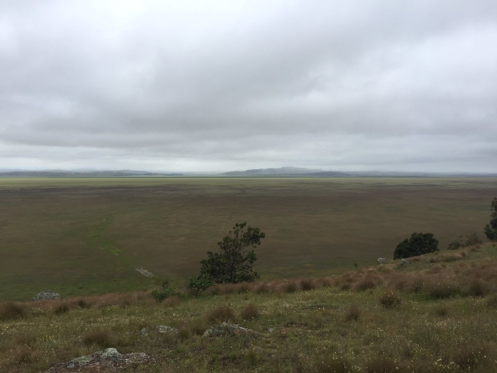 Veggysaurus's tweet photo. @stuartcathcart @acthpa https://t.co/35XLHOABiV