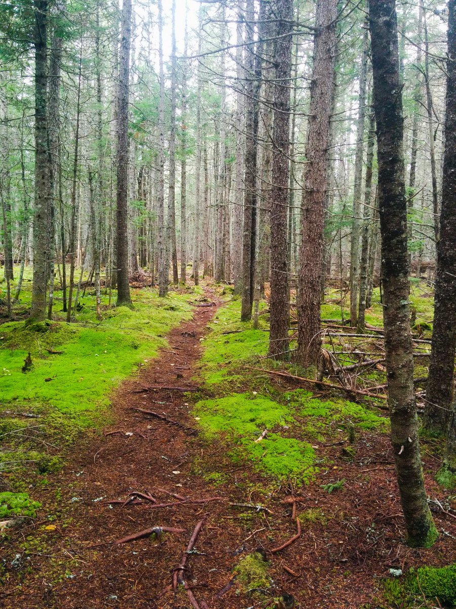 RentToCamp's tweet photo. @IslandTrailsPEI we hiked the Dromore and Boughton trails last weekend. Thanks for keeping them in great shape! https://t.co/5r3N4xoHkv