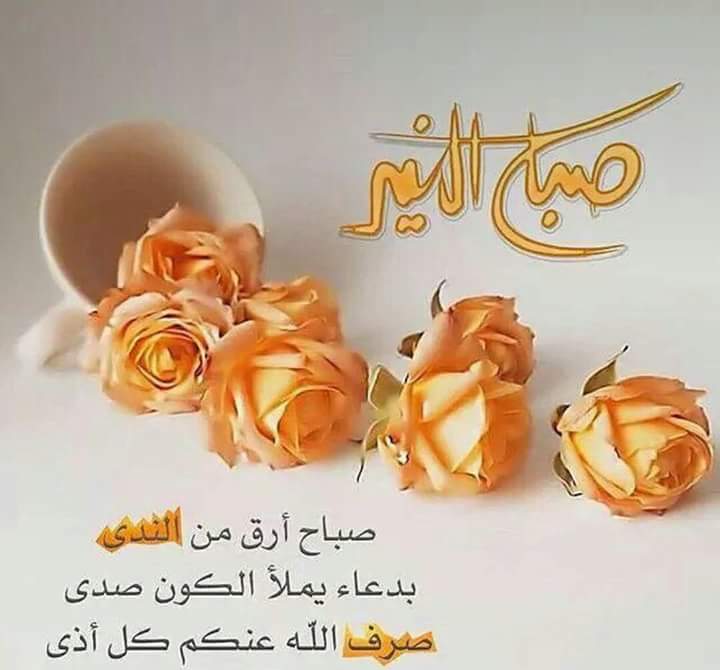 alkfaay tweet picture