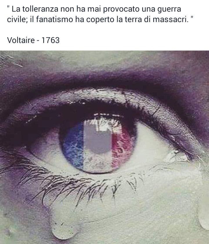 fgutoledo1's tweet photo. https://t.co/FvrQpzxVhg