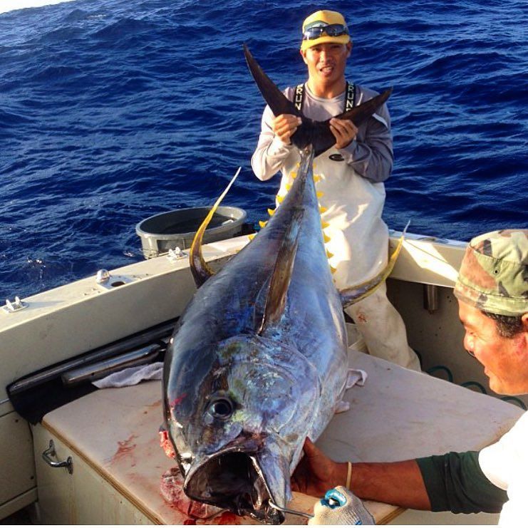 TsutomuLures's tweet photo. _
_
#fbf Certified gorilla 🐒 255 lbs.
with @s4goodness @chase_um_808
#ahifever #yft #pelagic #hawaiifishing #tsut… https://t.co/xKeA8adJU3