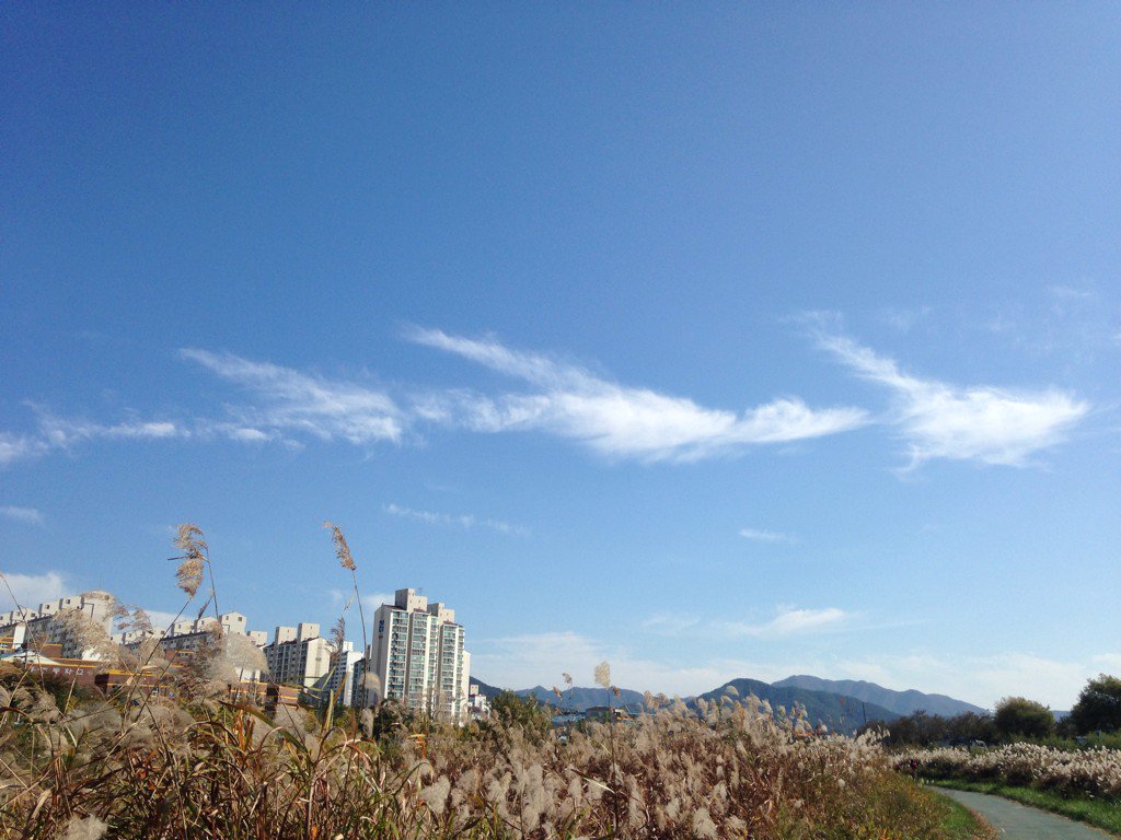 ssang2848's tweet photo. 삶 / 끊임없이 변하네요 // 비온 뒤에 / 저 하늘이 보여주는 / 구름처럼 // 나가 하늘이 아니듯 / 하늘이 나가 아니듯 // 이제 고요한 삶속에서 // 조용히 조용히 살고프네요 // 삶.  솔뫼 강쌍호 https://t.co/elASNUCMm4