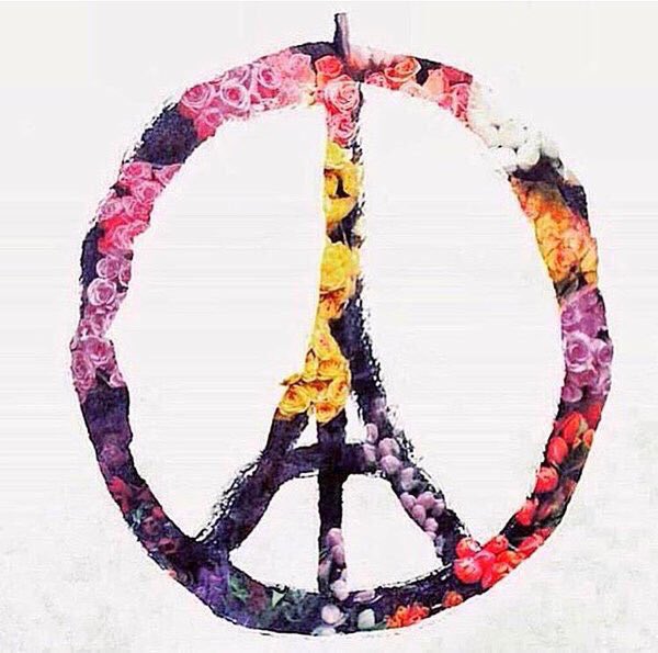 SandraProfaca's tweet image. 