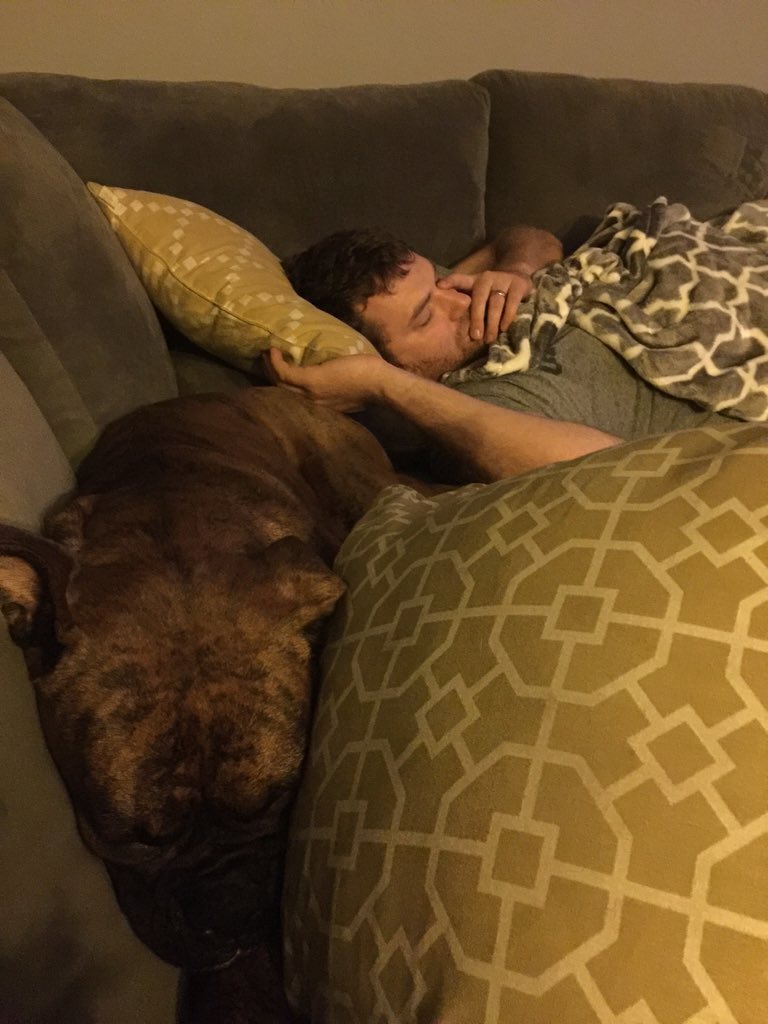 ashleyebee's tweet photo. Sometimes you have two sleepy boys! #ourlittlesmithfamily #brucetheboxersmith https://t.co/jtuiO8NMNM