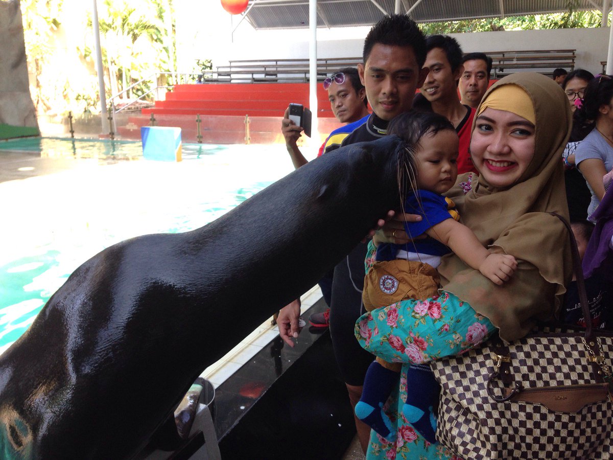 akhtar takut ama si anjing laut (@ Ocean Dream Samudra (Gelanggang Samudera Ancol)) swarmapp.com/c/ditju555oNO