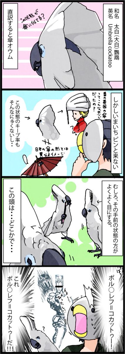 ろうの頭はポルナレフ（懐古中）
実はろうと名付けた当初、ポルポルに名前を変えようか相当迷っていました。 