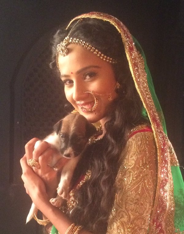_MaharanaPratap's tweet photo. #Onset #Offscrene #masti with #phoolkanwar (@_HeenaParmar )
share your #masti moments
BKVPMP @SonyTV https://t.co/WLwjjR72mj