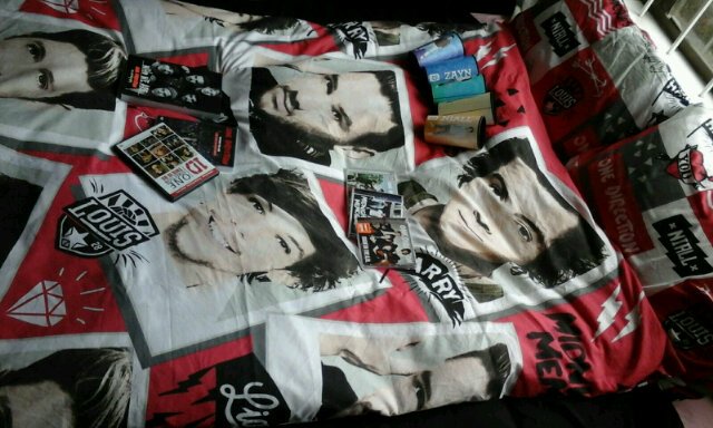 lanagerm's tweet photo. My crazily 1D obsessed bed #1DHarry #1DLiam #1DLouis #1DNiall #Coketop40sa @947 #947Directioner https://t.co/KfekHyy1zw