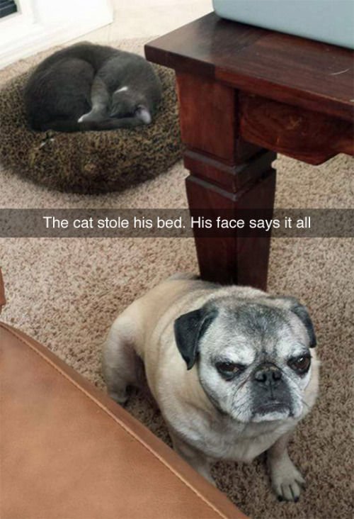 MATIASM97027089's tweet image. 