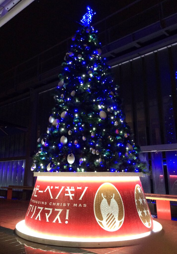 夜のペンギンクリスマスツリーはロマンティックに大変身♡ あたたかい