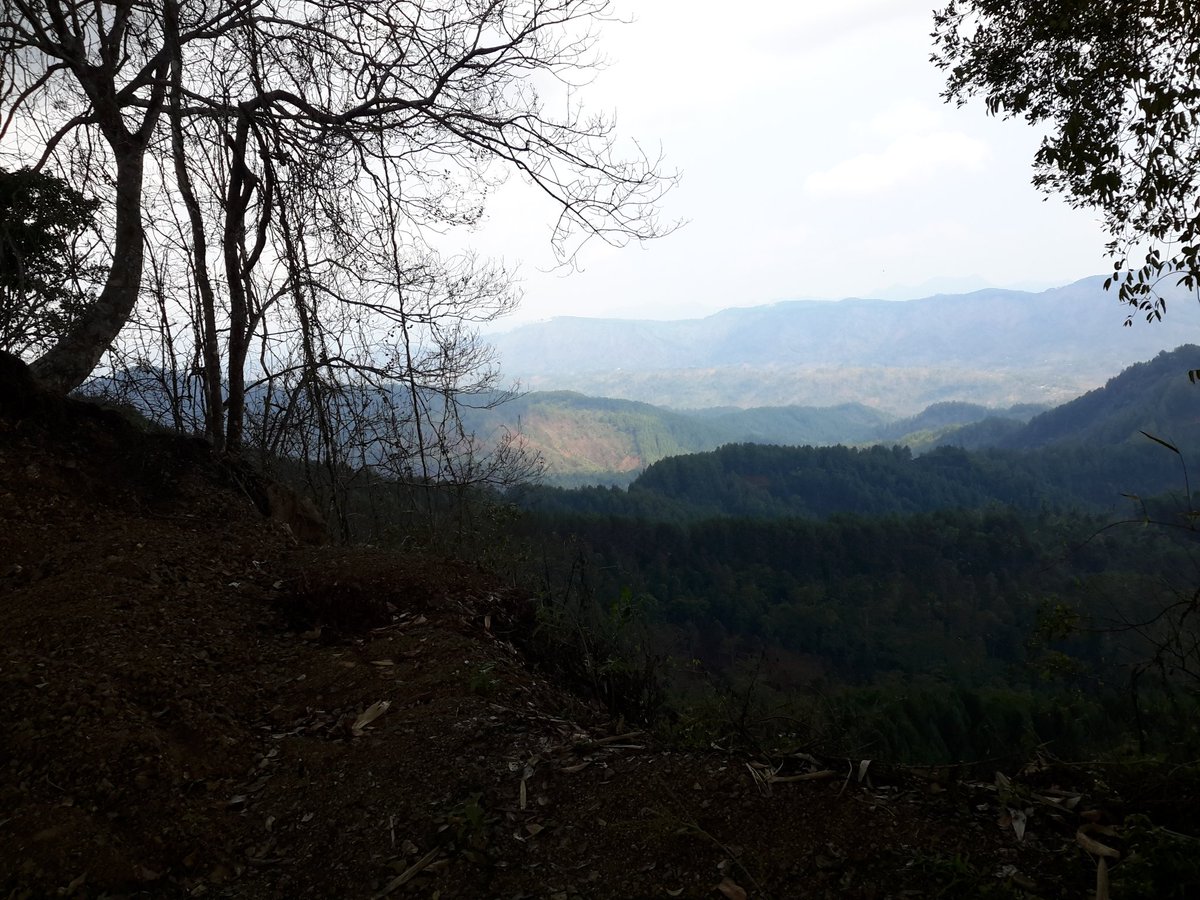 Pemandangan menuju Banjarnegara via sadang Amazing &amp; coffe, Jadah goreng  mbok Maryo ,Ory organik rasa Luar biasa
