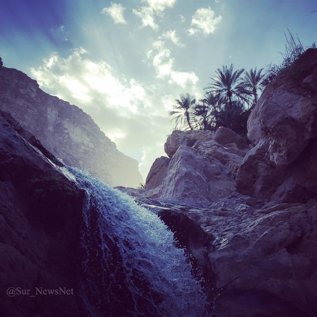 إطلالة وتناغم وجمال المكان في وادي طيوي  .. تغري المستكشفين والباحثين عن الطبيعة لزيارتها

#صور_العفية ❤️