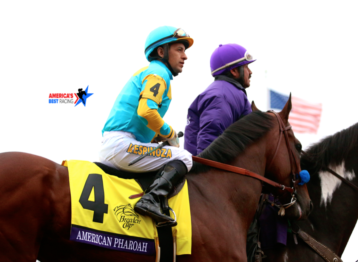 ABRLive tweet picture