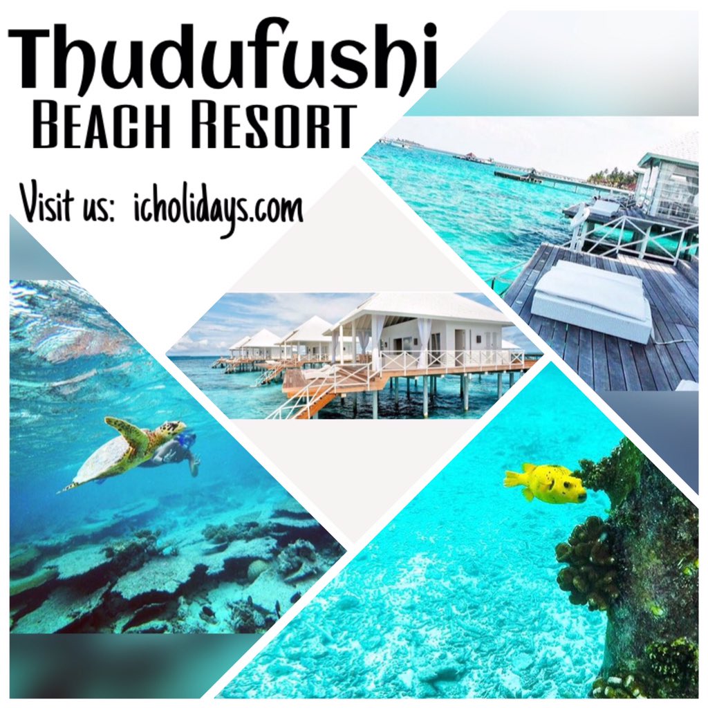 icholidays's tweet photo. THUDUFUSHI BEACH
#Maldives #snorkling #diving #Takemethere #cantwaitforthis
Visit us:  https://t.co/EtV8FxBlOr https://t.co/ZoPZmvpSBl