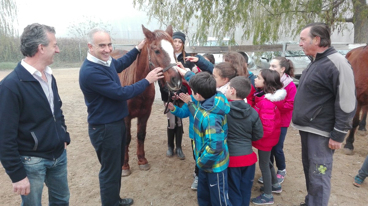 deportesdipusal's tweet photo. Hoy jornada de paseo y caballos en #ProgramaMultiaventura, con visita del Diputado de Deportes @dipusalamanca https://t.co/gkxxLIpZf4