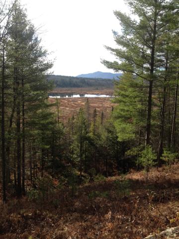 saranaclake's tweet photo. Head over to the VIC and scope out some winter trails! #hike #SarancLake #winter #ski #ADK https://t.co/fPKXPztslo https://t.co/tUaV5Kisk5