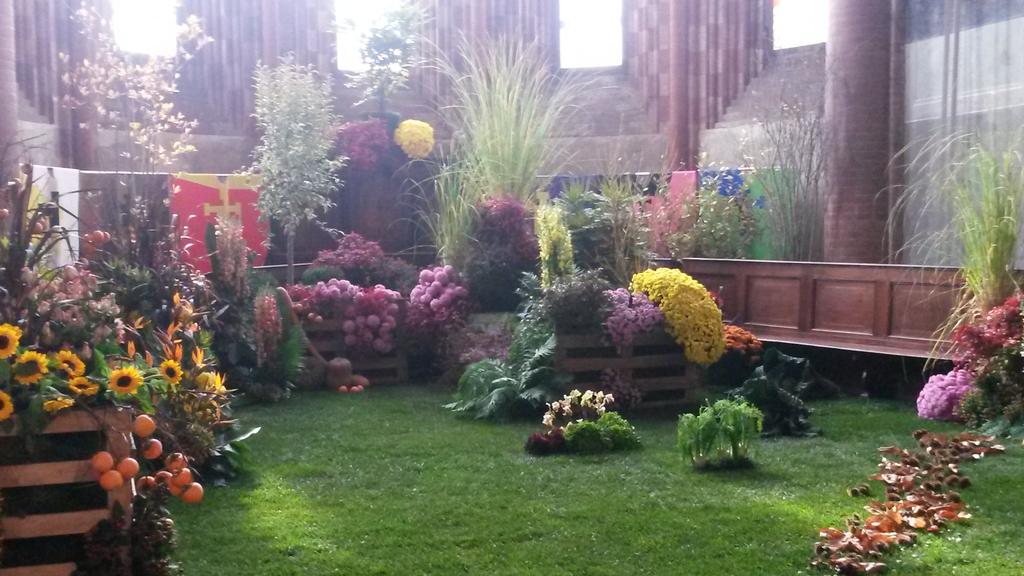 agrisapori's tweet photo. #fiori #verde #Comunifioriti prossimamente su @agrisapori https://t.co/QjzLHDVb4d