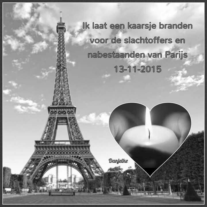 DLieverloo's tweet image. 