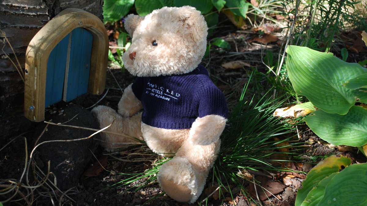 Pawsley Bear tweet media