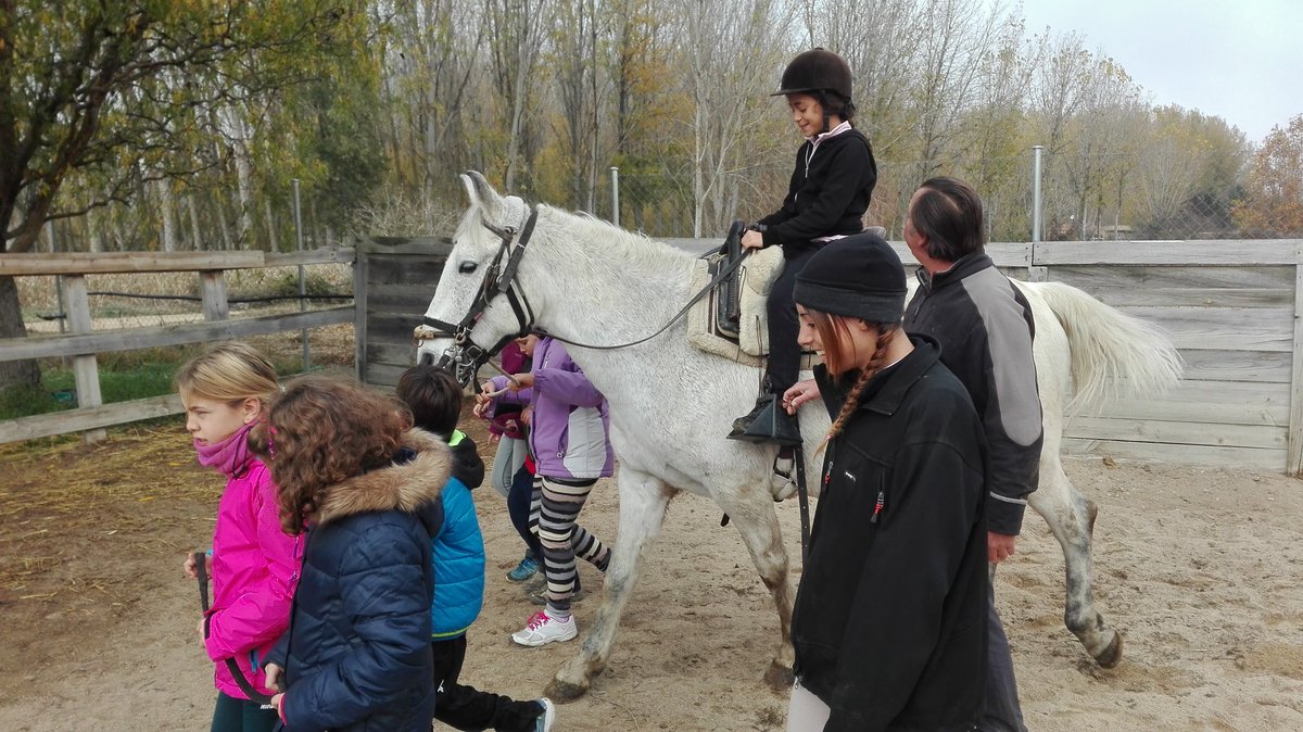 deportesdipusal's tweet photo. Disfrutando de la monta en un mañana otoñal en #Huerta #ProgramaMultiaventura @dipusalamanca https://t.co/jpsw6SdV53