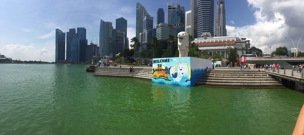 PalmazonSupport's tweet image. Beautiful city a must see #Singapore #skydeck #SentosaIsland #chinatown