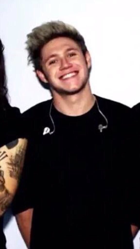 aussistays's tweet image. SUPPORT THIS CHILD! #ProjectNiall #1DNiall #TemporaryFix