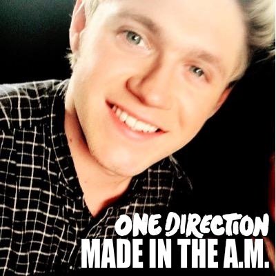 aussistays's tweet image. SUPPORT THIS CHILD! #ProjectNiall #1DNiall #TemporaryFix
