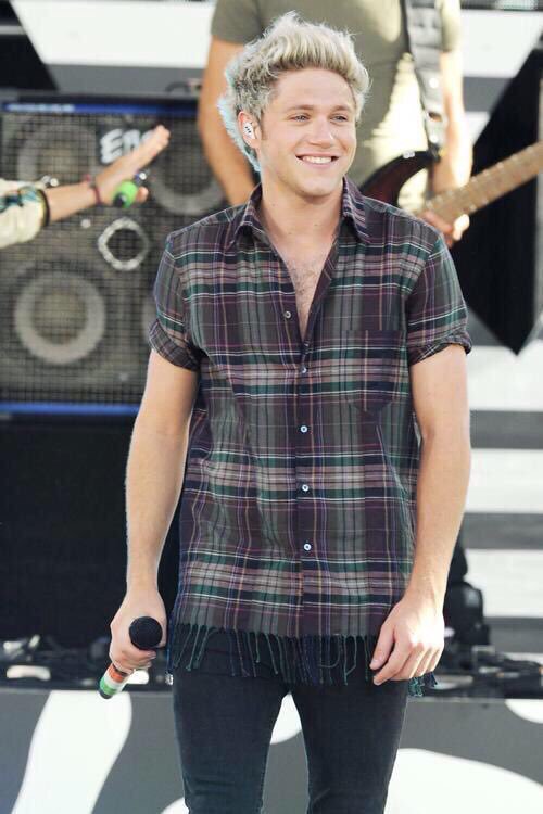 aussistays's tweet image. SUPPORT THIS CHILD! #ProjectNiall #1DNiall #TemporaryFix