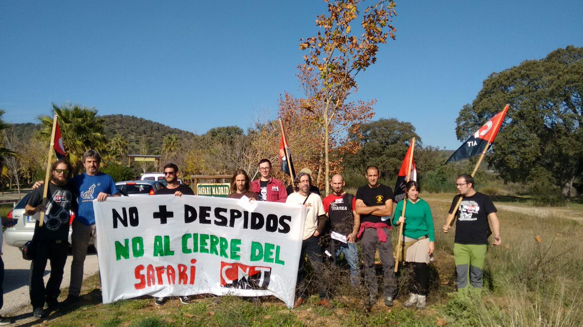 CNTsafarimadrid's tweet photo. Los trabajadores de @Safari_Madrid no estamos solos estamos con nuestros compás de la @CNT_Villaverde https://t.co/c0zlj7WiSH
