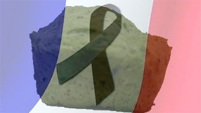 veggie_BO's tweet photo. #PrayForParis #TodosSomosParis https://t.co/WQIcSJqCjn
