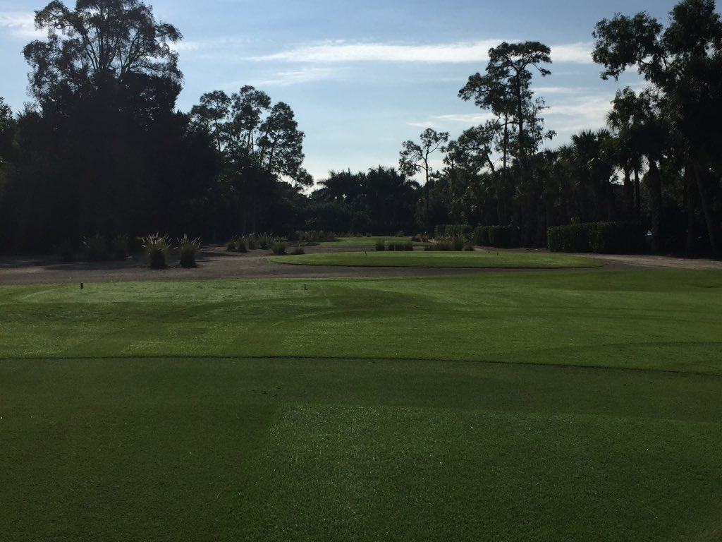 Bear Course looking great this morning!