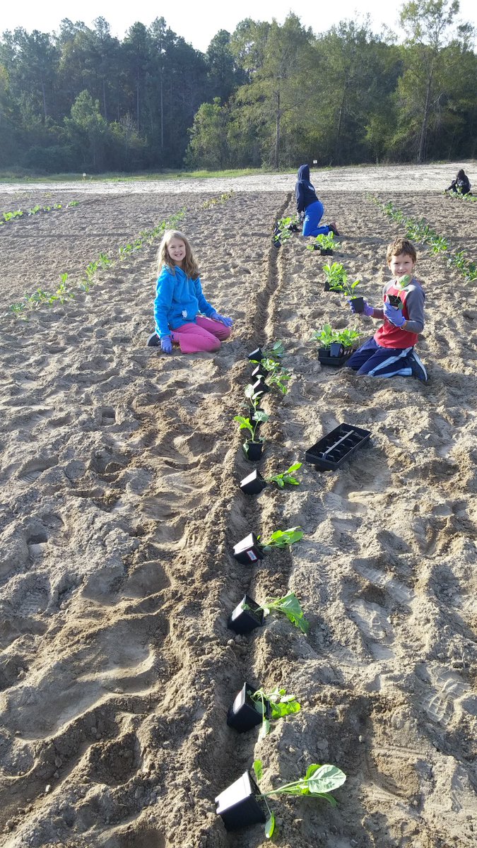 Early morning fun in the Harvest-Of-Hope Empowerment Garden! #Dayspring #Garden #AServantsLove #HOH