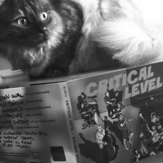 Piraniasl's tweet photo. #kot #jazz #slupsk #cat https://t.co/O3p06YwT1v https://t.co/v4MF8hfQfq