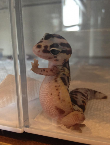 The first time you looked through the window of Lalibela.