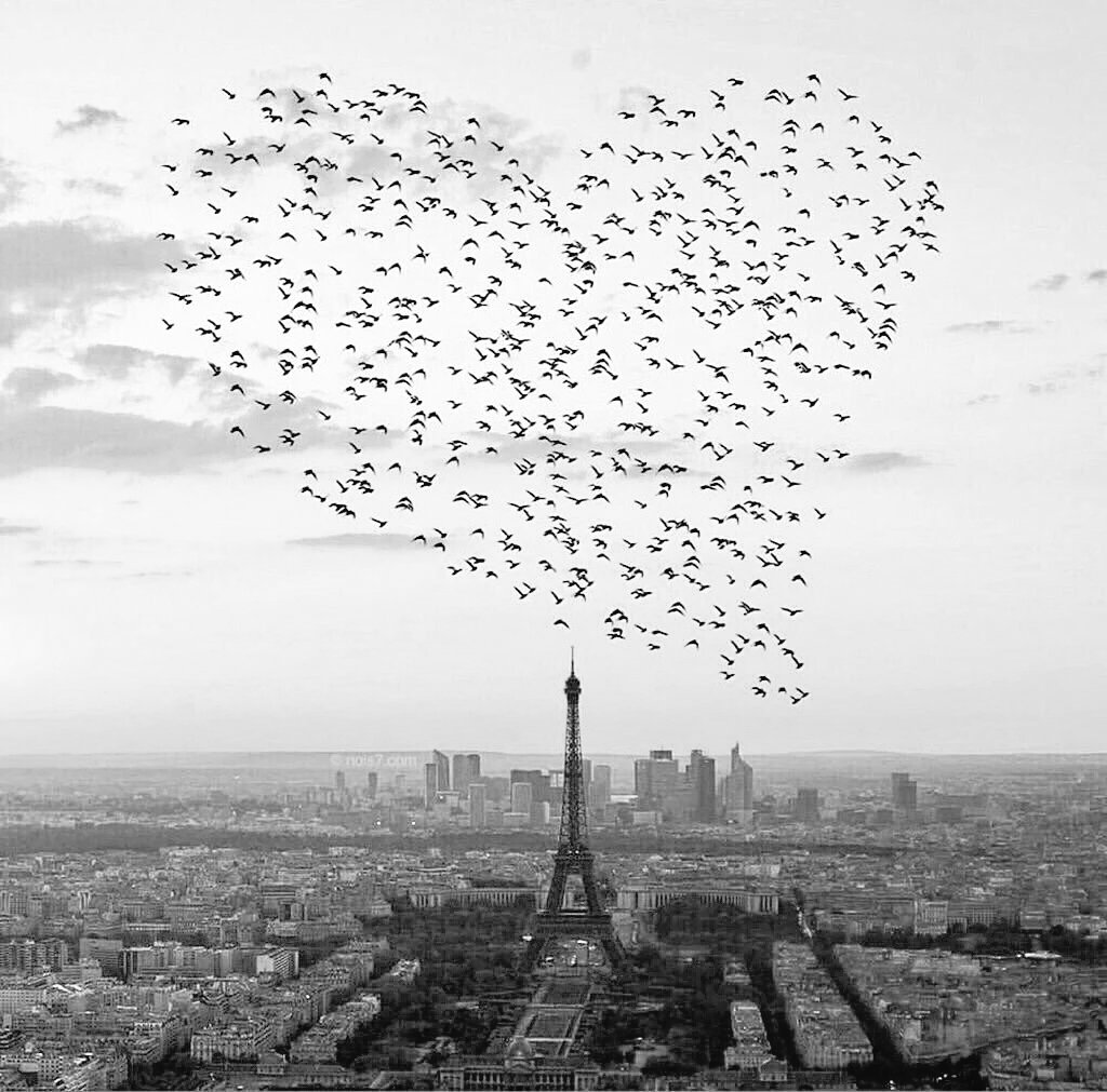 TeamInspirePro's tweet image. The world needs love... #BeLove