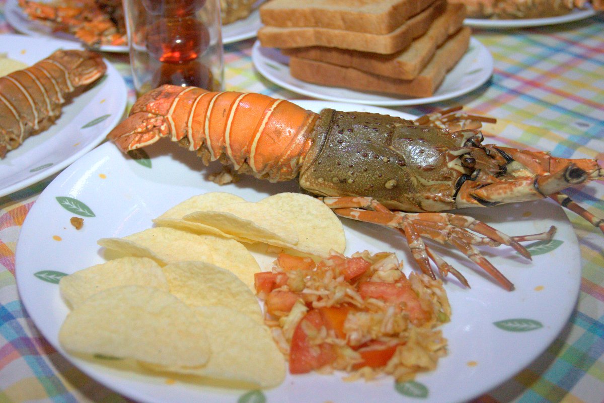 KhubKhao's tweet photo. Fresh #Lobsters transforming to #Grilled #Lobsterdinner #UltimateDelicious
@ideajay @AnantRishi @sunofjoy @AnoothiV https://t.co/jUtJMcmUp3
