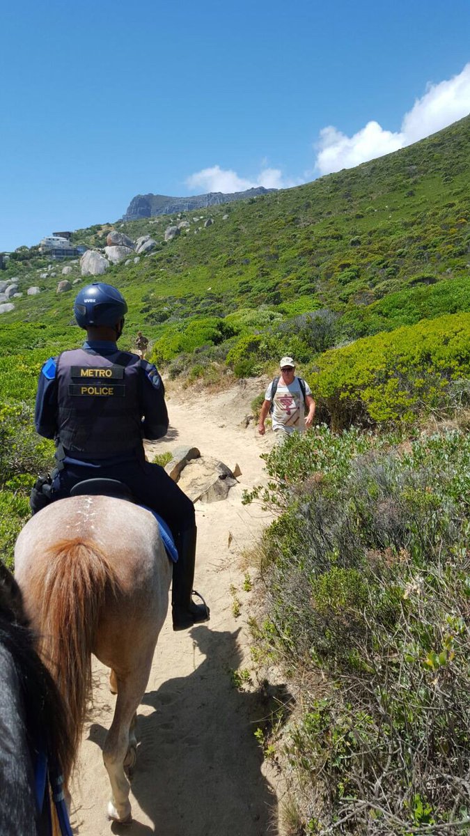 Table Mountain Watch tweet media