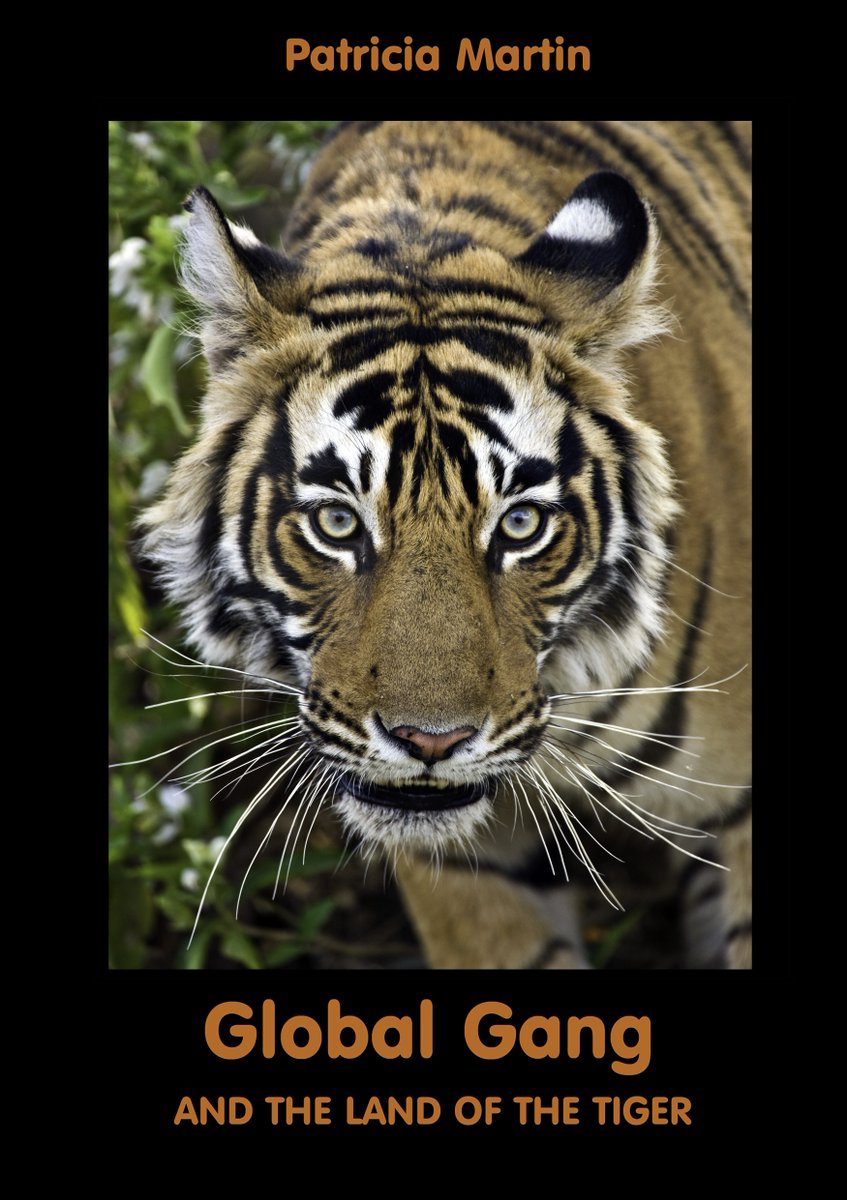 @Tigers4EverCTS @Tigermike1606 @SaveOurTigers @tigerawareness @TOFTIndia @TigerTimeNow @tnroars Lovely kids' book