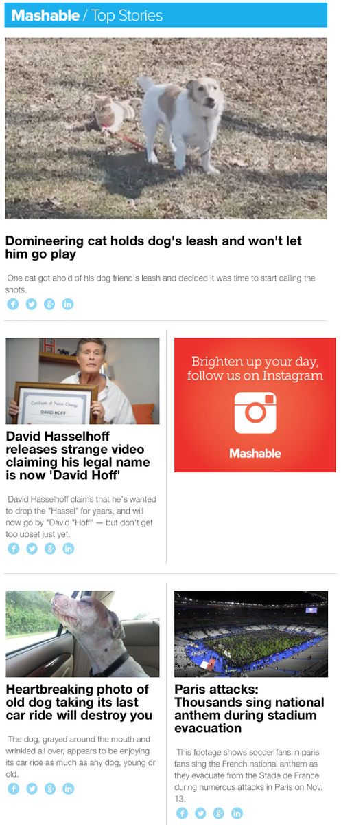 boferger's tweet photo. After mass killings, @mashable email shows a cat and @Hasselhoff are more important! Simply Nuts! #ParisAttacks https://t.co/hqQcvJbHXs