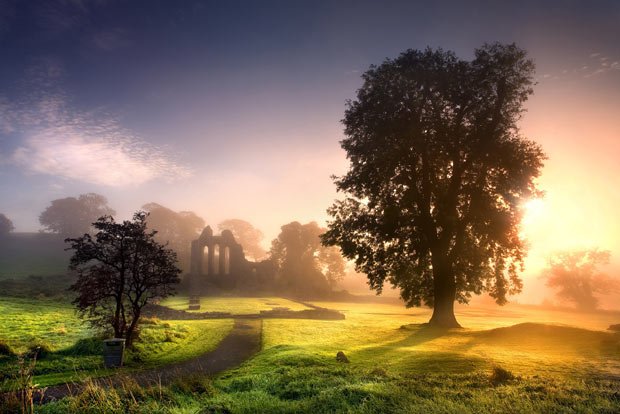 Stephen Emerson's Enchanted Abbey, Downpatrick, County Down, Northern Ireland #UkNature