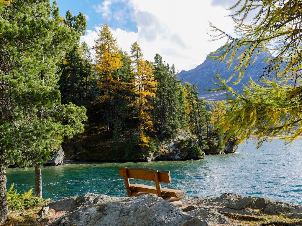 DaniBachmannCH's tweet photo. One of my favorite places to hike, sit and relax on the weekend is near St. Moritz in Switzerland's mountains! https://t.co/KnTxswEOyO