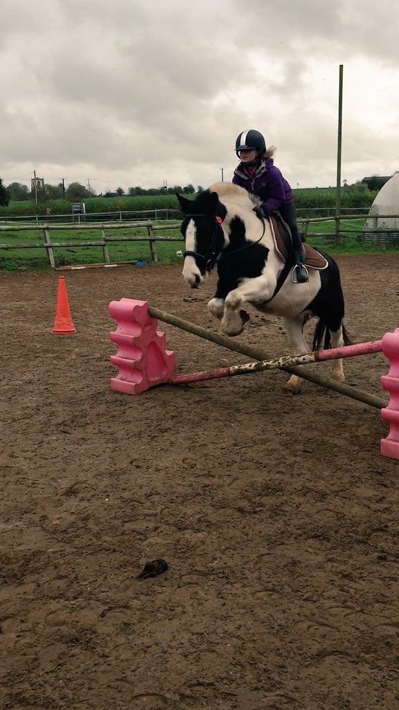 CharlieAliano's tweet image. #jumping #cob #piebald