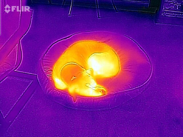 jpgareri's tweet photo. Thanks @mattm401 #thermalstudy https://t.co/QhA8wVFSGn