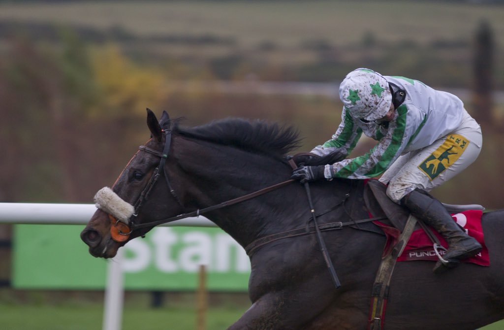 HRIRacing's tweet photo. Our Duke &amp; @kateharro1989 were impressive, winning the finale @punchestownrace by 21 lengths for @Jessica_Racing https://t.co/FH7gtgDQb8