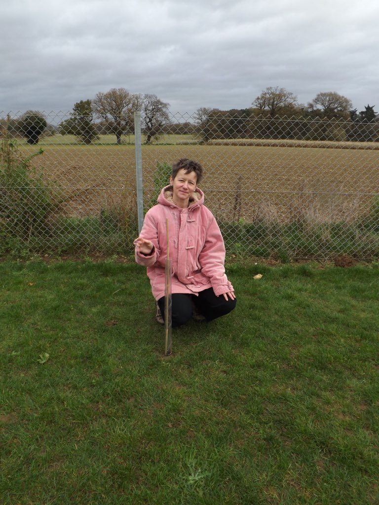 TTAEnvironment's tweet image. Final batch of photos from the 13th.  Thank you all! @ThetfordAcaduk #ttatrees